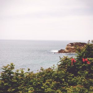 600x600