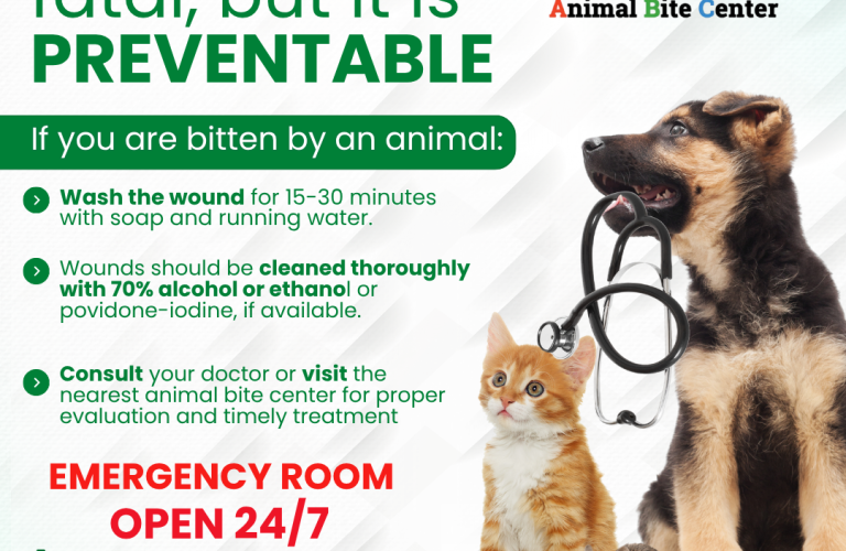 Sunday Services Poster (24)